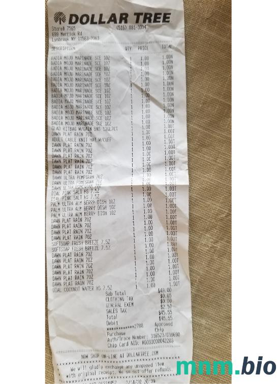 Dollar Tree Store przykładowy czek PSD